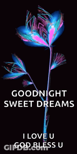 Colorful Flower Saying Goodnight Sweet Dreams I Love U God Bless U GIF