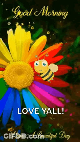 Colorful Flower With Bee And Good Morning Love Yall GIF