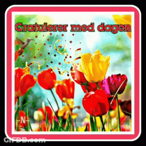 Colorful Flowers Gratulerer Med Dagen GIF