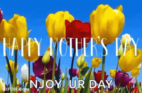 Colorful Flowers Happy Mothers Day GIF