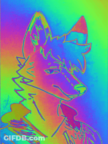 Colorful Fox Head With Rainbow Background GIF