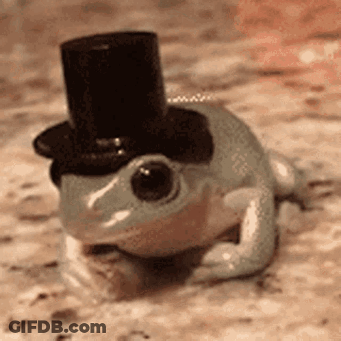Colorful Frog With Yeee Face GIF