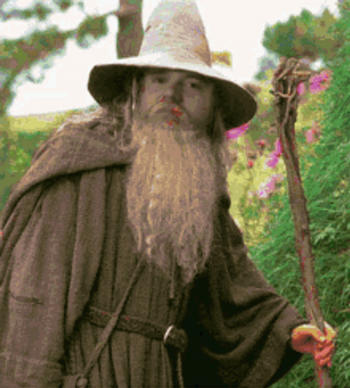 Colorful Gandalf Meme GIF