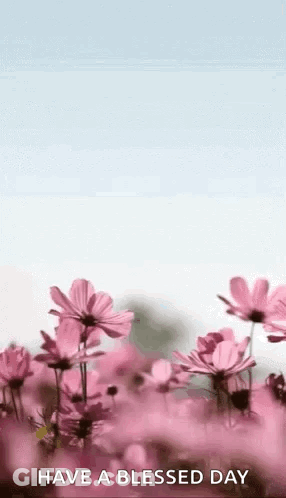 Colorful Happy Mothers Day Card With Hearts GIF
