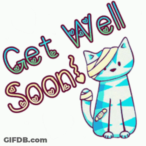 Colorful Injury Cat Get Better Soon GIF