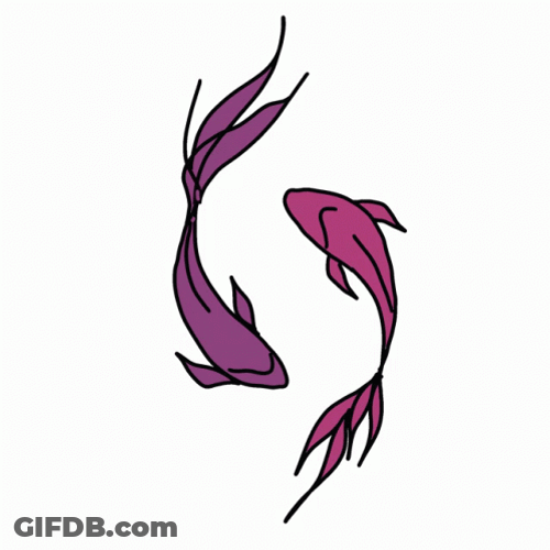 Colorful Koi Fish Swimming Circle GIF