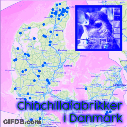 Colorful Map Showing Chinchilla Factories GIF