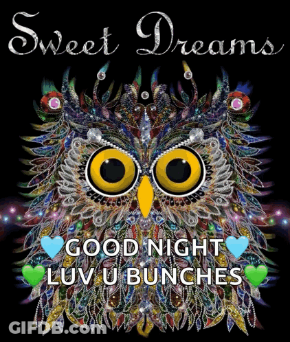 Colorful Owl Saying Sweet Dreams GIF