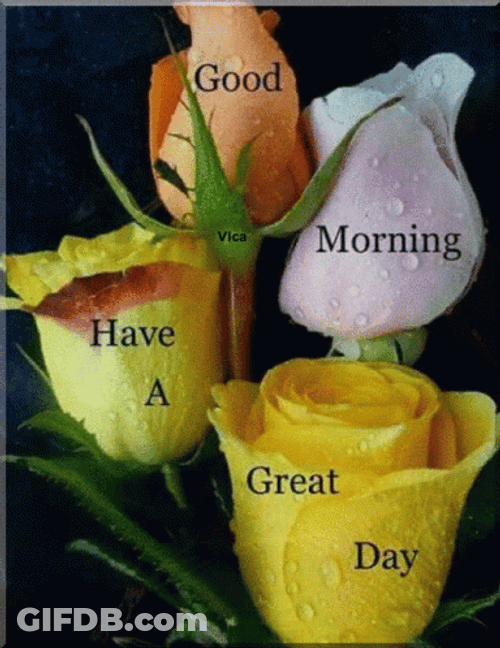 Colorful Roses Happy Good Morning GIF