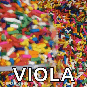 Colorful Sprinkles Viola GIF