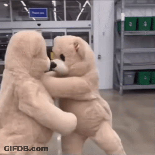 Colorful Teddy Bear Wearing R9 Shirt GIF