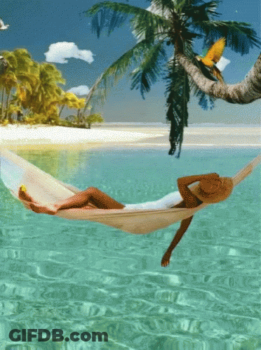 Colorful Tropical Flowers And Birds GIF