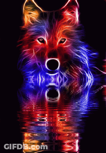 Colorful Wolf Reflected In Glowing Water GIF