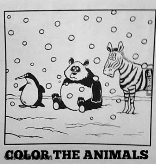 Coloring Of Three Animals GIF