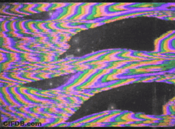 Colors Static Omen Butterflies GIF