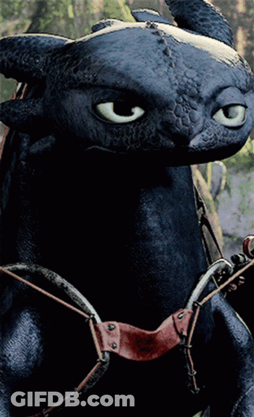Combat Wiggle Toothless Meme GIF