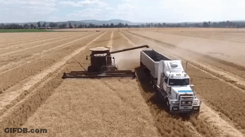 Combine Harvester Loaded Onto Semi Truck GIF