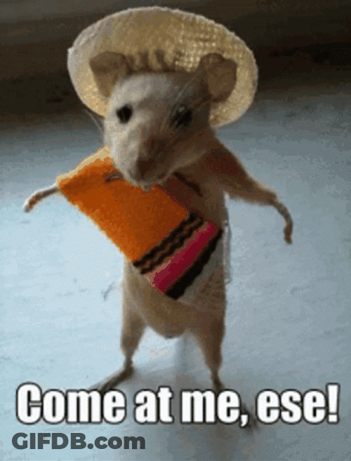 Come At Me Ese Cocky Mouse GIF