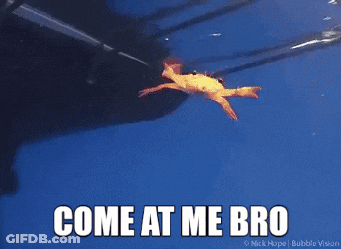 Come At Me Live Crab Attacking GIF