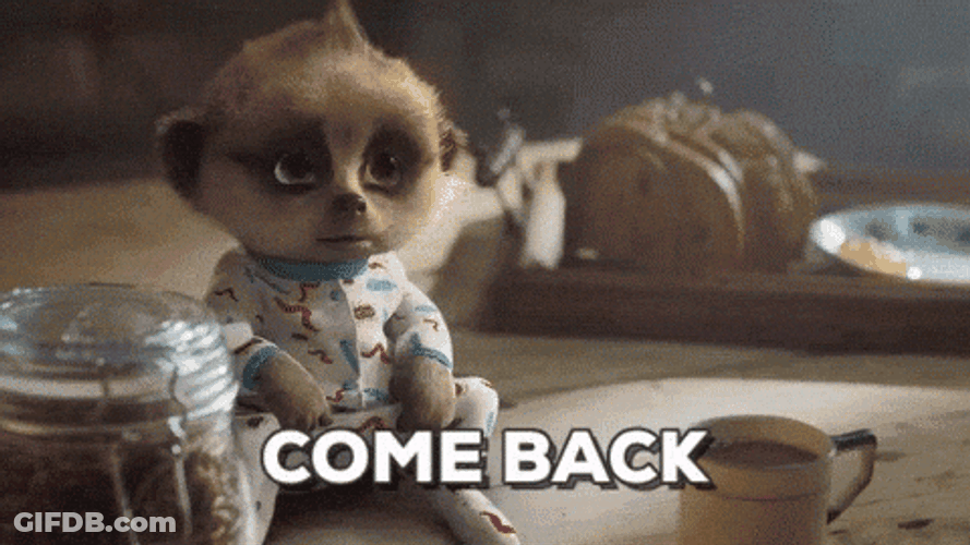 Come Back They Missed You GIF