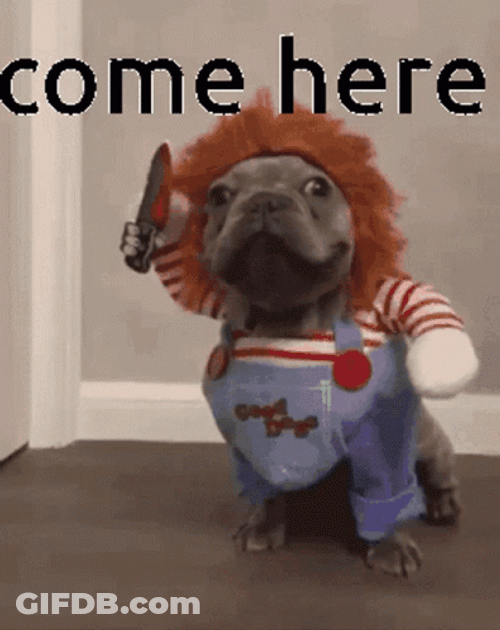 Come Here Dog Chucky Doll Knife GIF