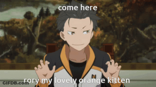 Come Here Rory My Lovely Orange Kitten GIF
