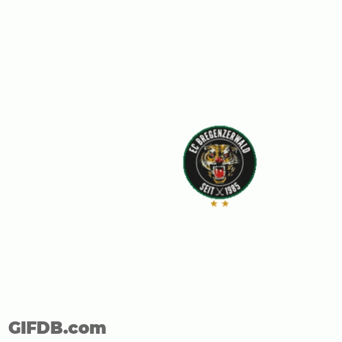 Come On Boys Ecb GIF