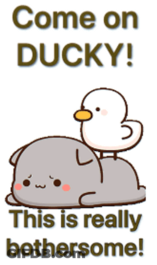 Come On Ducky This Is Really Bothersome GIF