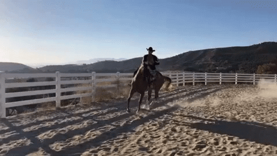 Come On Horsey Giddy Up GIF