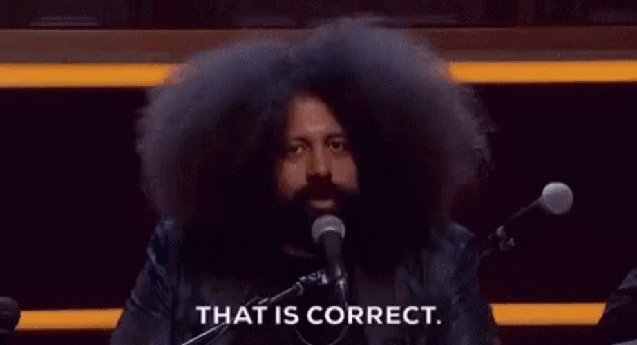 Comedian Reggie Watts That Is Correct GIF