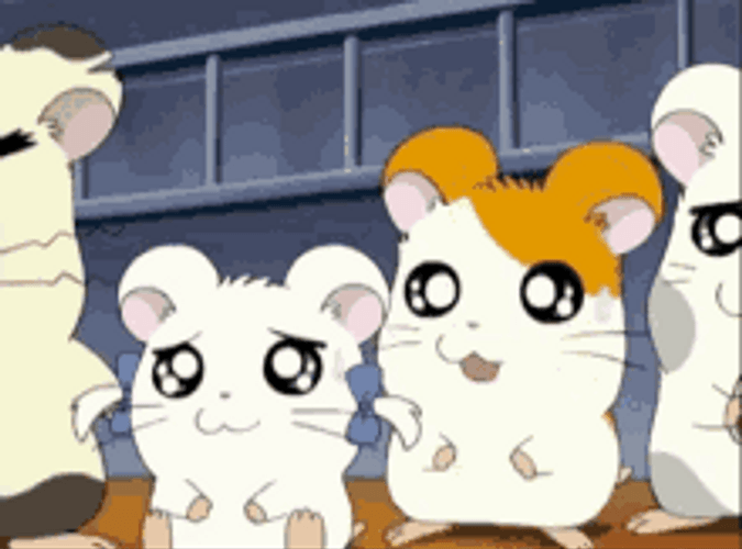 Comfort Friend Anime Hamtaro Hug Scared GIF