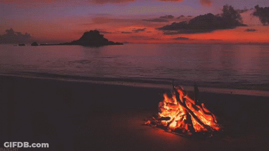 Comforting Campfire Beach Sunset Sky GIF