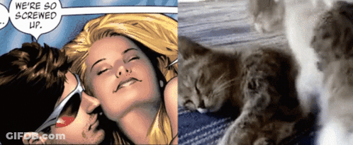 Comic Character Says We're So Screwed Up Next To Sleeping Cat GIF