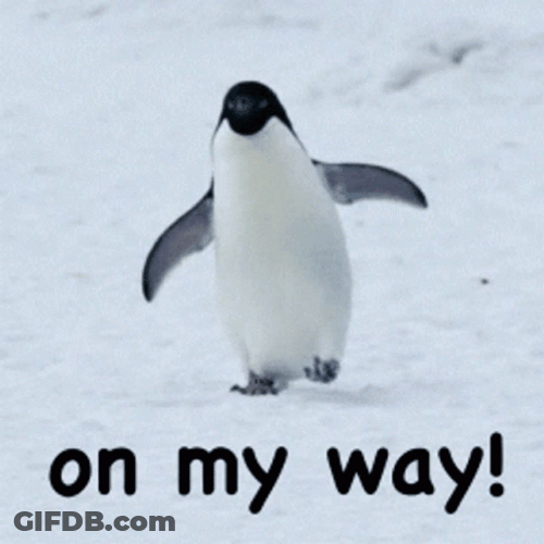 Coming Soon Penguin On My Way GIF