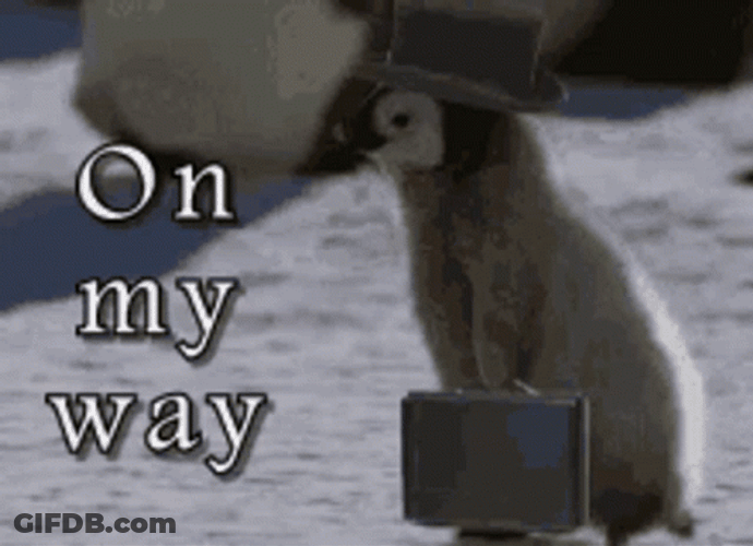 Coming Soon Rushing Penguin On My Way GIF