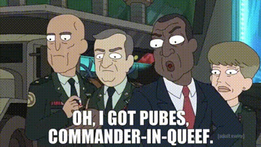 Commander In Queef Rick And Morty GIF