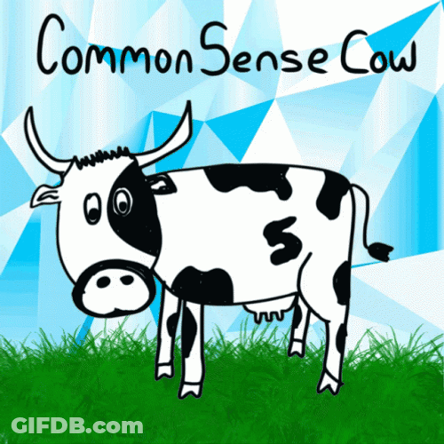 Common Sense Cow GIF