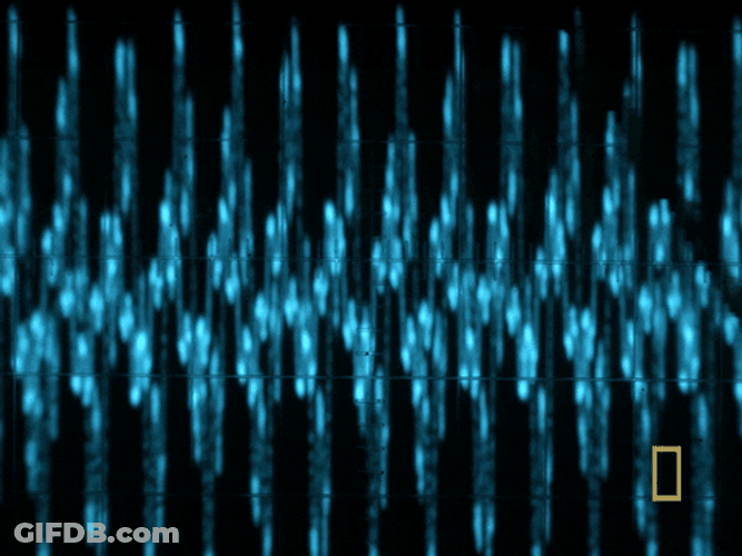 Communication Sound Wave GIF