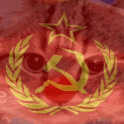 Communism Flag Kitten Pouticommunist Communist Soviet GIF
