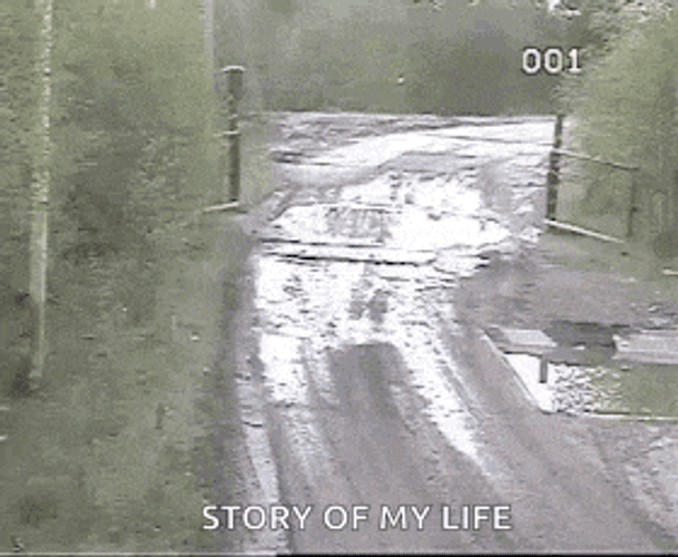Commvault Dumpster Fire GIF