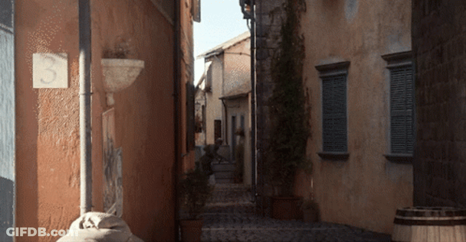 Company Of Heroes 2 2013 GIF