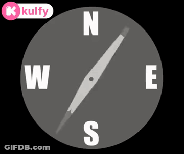 Compass Pointing North East And South GIF