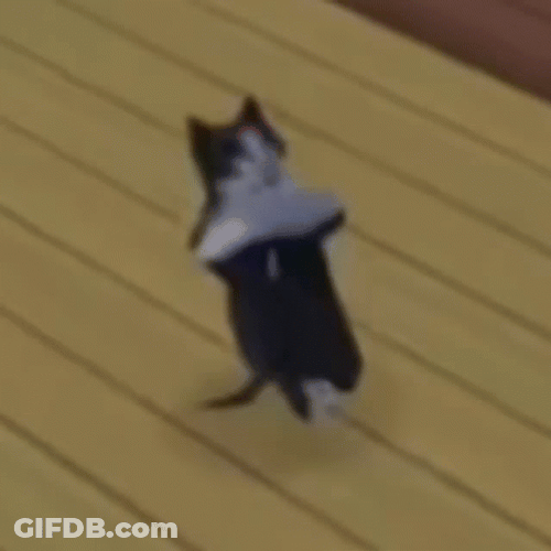 Computer Generated Cat  Breakdancing GIF