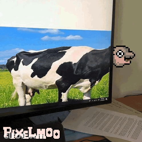 Computer Monitor With Cow Picture Pixelmoo GIF