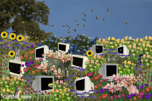 Computer Monitors In Flower Garden GIF