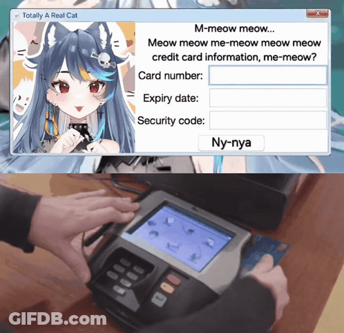Computer Screen Saying Totally A Real Cat Next To Person With Credit Card Reader GIF