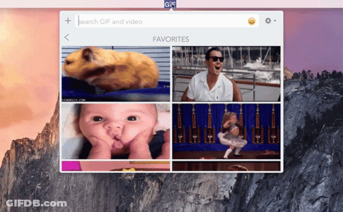 Computer Screen Search For Gifs And Videos GIF