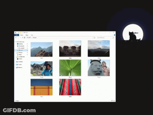 Computer Screen Showing Photo Collection GIF