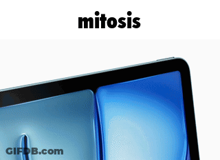 Computer Screen With Mitosis GIF