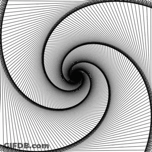 Concentric Downward Spiral Illusion GIF